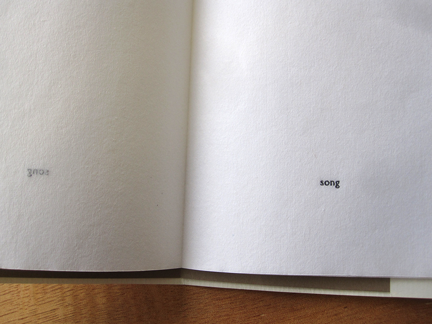 detail of book song artist book